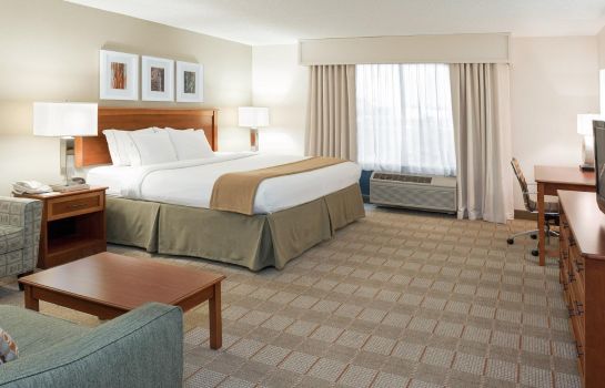 Room Holiday Inn Express & Suites INDIANAPOLIS DTN-CONV CTR AREA