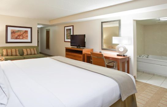Zimmer Holiday Inn Express & Suites INDIANAPOLIS DTN-CONV CTR AREA
