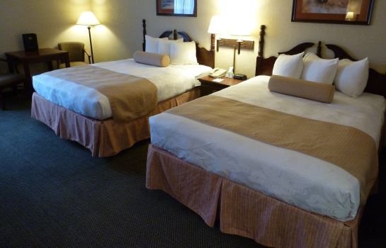 Zimmer Holiday Inn Express & Suites EVANSVILLE NORTH