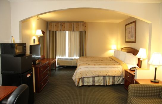 Zimmer Best Western Plus Suites-Greenville