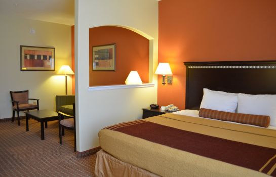 Room Best Western Plus North Houston Inn & Suites