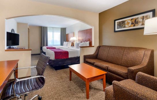 Suite Comfort Suites North Dallas