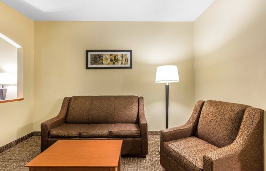 Zimmer Comfort Suites North Dallas