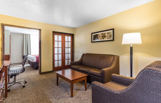 Room Comfort Suites North Dallas