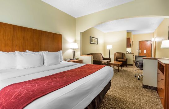 Room Comfort Suites North Dallas