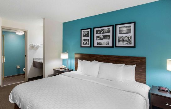 Room Clarion Inn and Suites DFW North
