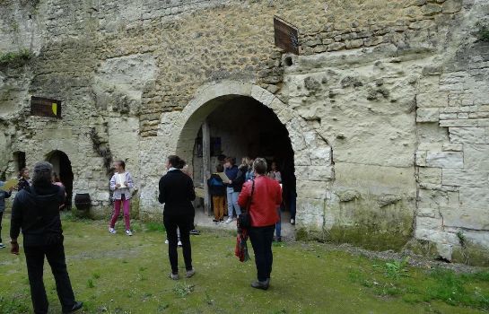 Info Château de Ternay