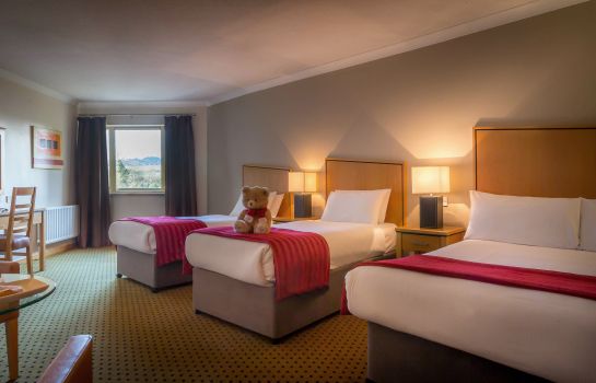 Double room (standard) Maldron Hotel Wexford