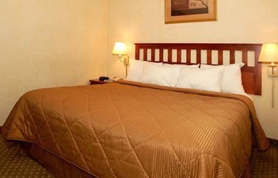 Comfort Inn Long Island City Great Prices At Hotel Info