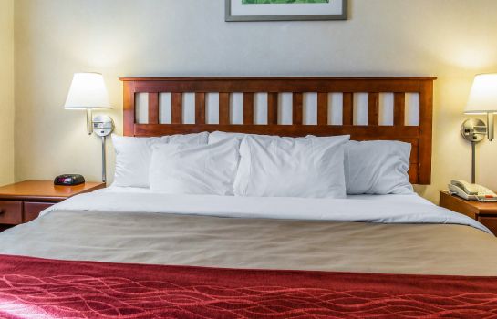 Comfort Inn Long Island City Great Prices At Hotel Info