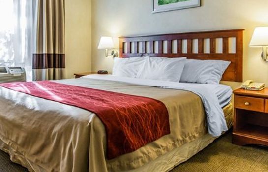 Comfort Inn Long Island City Great Prices At Hotel Info