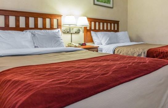 Comfort Inn Long Island City Great Prices At Hotel Info