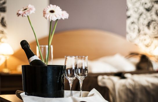 hotel rusca hunedoara great prices