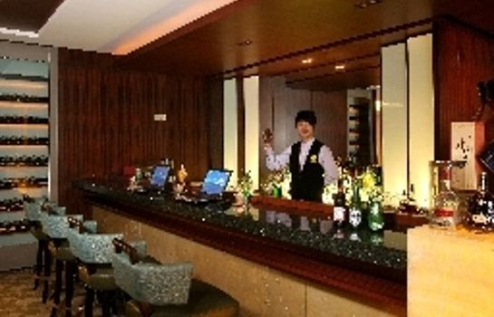 Hotel-Bar Haiyatt