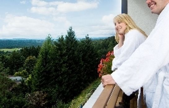 Hotel Haus Bayerwald in Neureichenau - Duschlberg - HOTEL DE