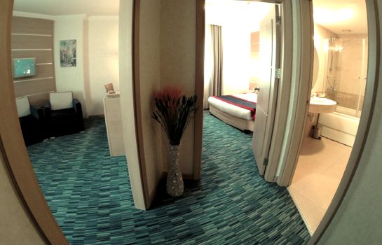 Sv Business Hotel Taksim In Istanbul Great Prices At Hotel Info