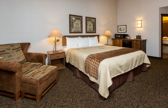 Room Stoney Creek Hotel Des Moines