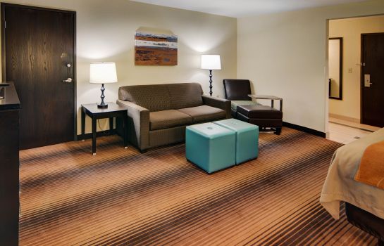 Suite Comfort Inn Grapevine Near DFW Airport