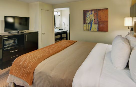 Room Comfort Inn Grapevine Near DFW Airport