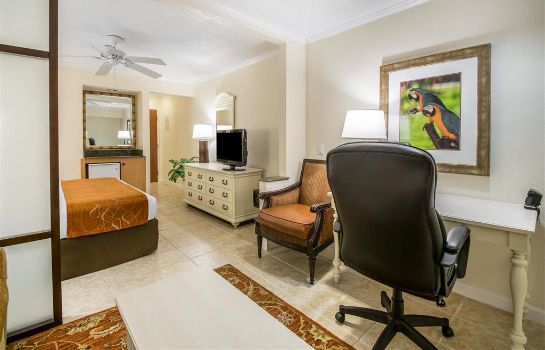 Hotel Comfort Suites Paradise Island In Nassau Great Prices At