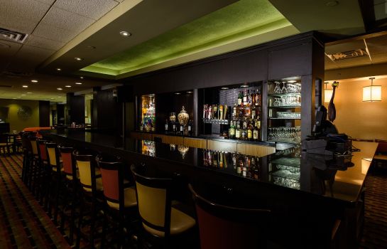 Hotel-Bar Holiday Inn GRAND RAPIDS DOWNTOWN