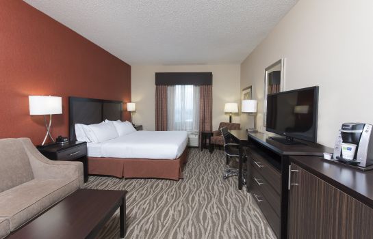 Room Holiday Inn Express & Suites GRAND RAPIDS-NORTH