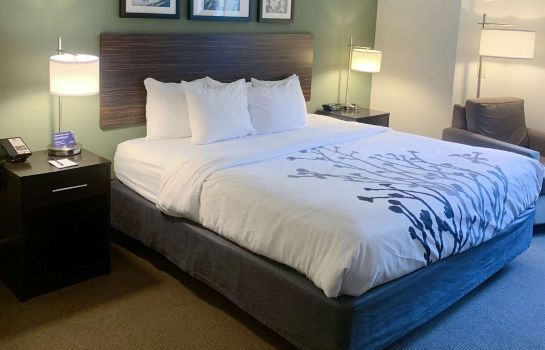Zimmer Sleep Inn and Suites Queensbury - Glens