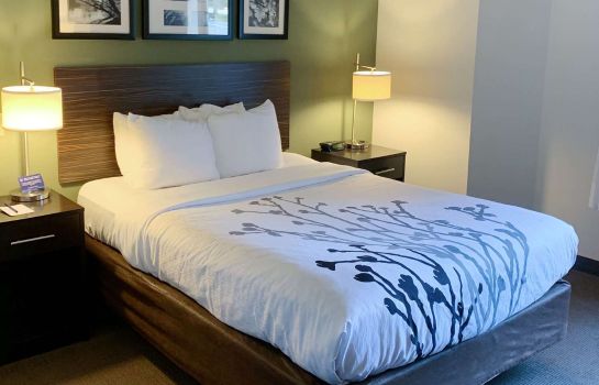 Zimmer Sleep Inn and Suites Queensbury - Glens