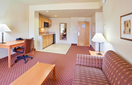 Suite Holiday Inn Express & Suites FREMONT - MILPITAS CENTRAL