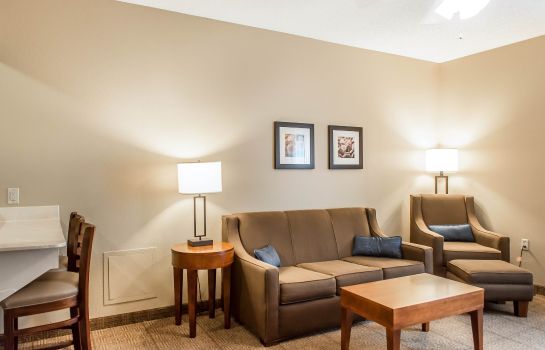 Suite Comfort Inn North/Polaris