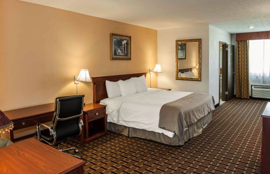 Zimmer Clarion Hotel Indianapolis
