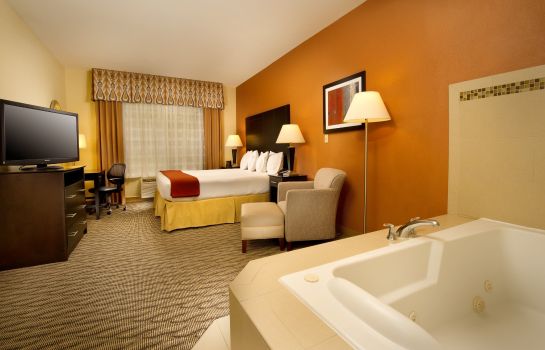Suite Holiday Inn Express & Suites MANASSAS