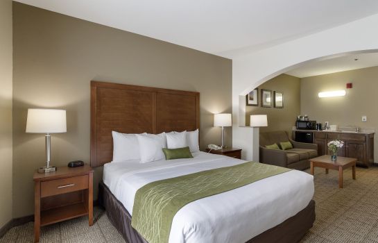 Suite Comfort Inn and Suites Sacramento - Univ
