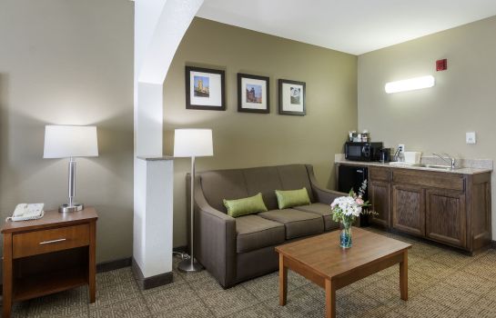 Suite Comfort Inn and Suites Sacramento - Univ