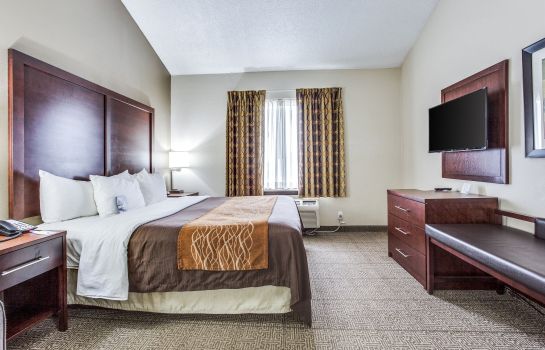 Suite Comfort Inn and Suites Love Field-Dallas