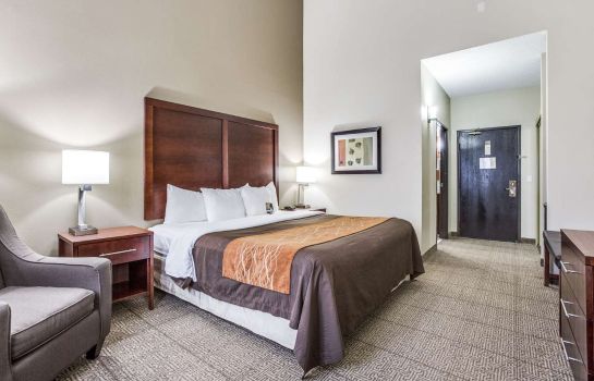 Room Comfort Inn and Suites Love Field-Dallas