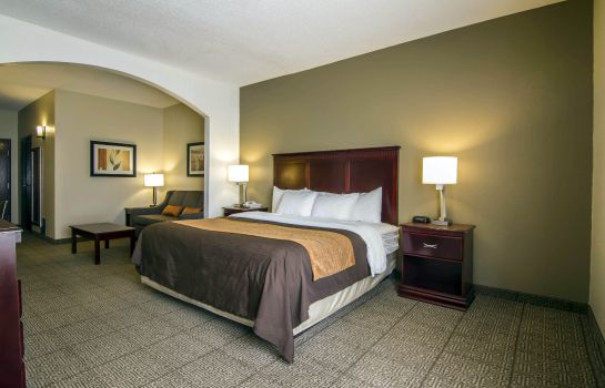 Room Comfort Inn and Suites Love Field-Dallas