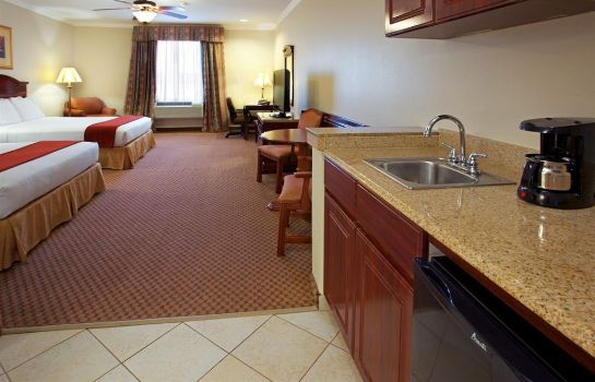 Suite Holiday Inn Express & Suites HOUSTON EAST