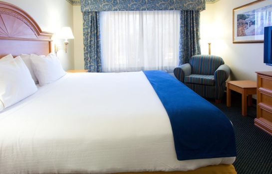 Suite Holiday Inn Express & Suites JACKSONVILLE - BLOUNT ISLAND