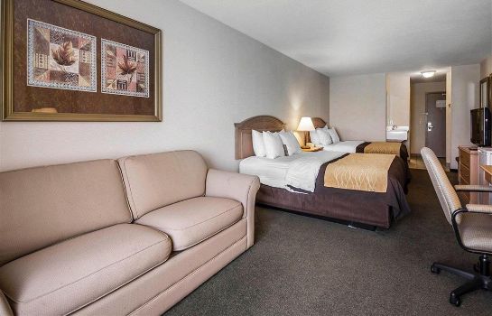 Kamers Comfort Inn and Suites Salmon Arm