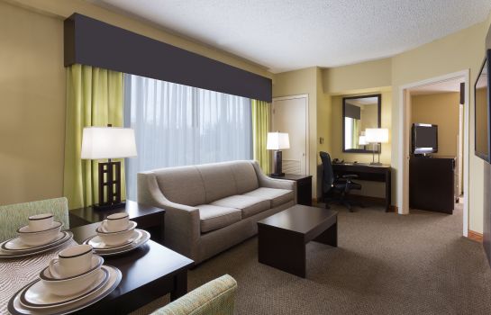 Suite Holiday Inn Express & Suites TAMPA-I-75 @ BRUCE B. DOWNS