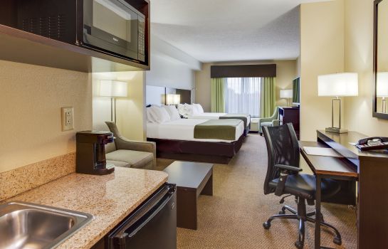 Suite Holiday Inn Express & Suites TAMPA-I-75 @ BRUCE B. DOWNS