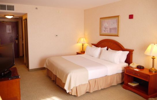 Room Holiday Inn LAFAYETTE-CITY CENTRE