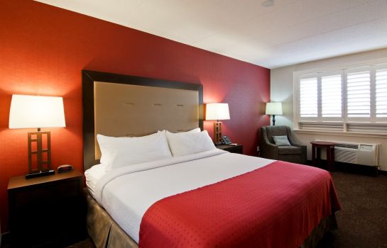 Zimmer Holiday Inn & Suites ST. CATHARINES CONF CTR