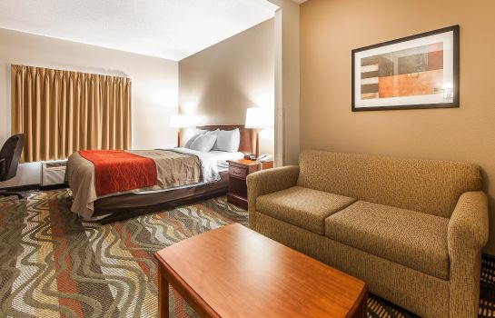 Room Comfort Inn and Suites Lookout Mountain