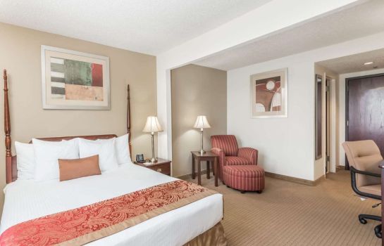 Room Wingate by Wyndham DFW / North Irving