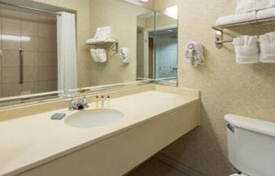 Zimmer Holiday Inn Express & Suites INDIANAPOLIS NORTHWEST