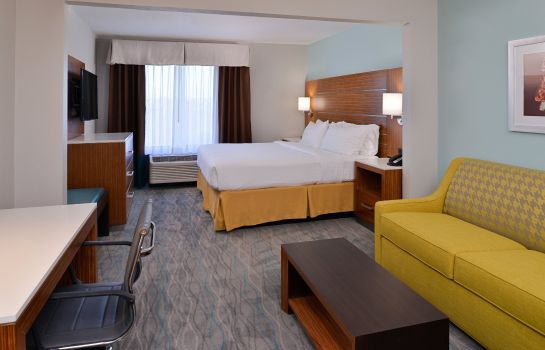 Zimmer Holiday Inn Express & Suites AUSTIN NORTH CENTRAL