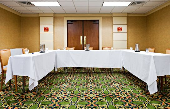 Sala konferencyjna Holiday Inn Express & Suites IRVING DFW AIRPORT NORTH