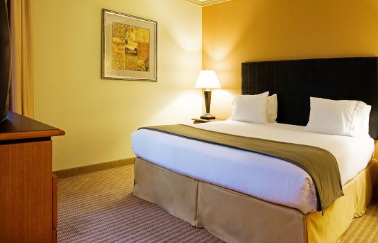 Room Holiday Inn Express & Suites IRVING DFW AIRPORT NORTH